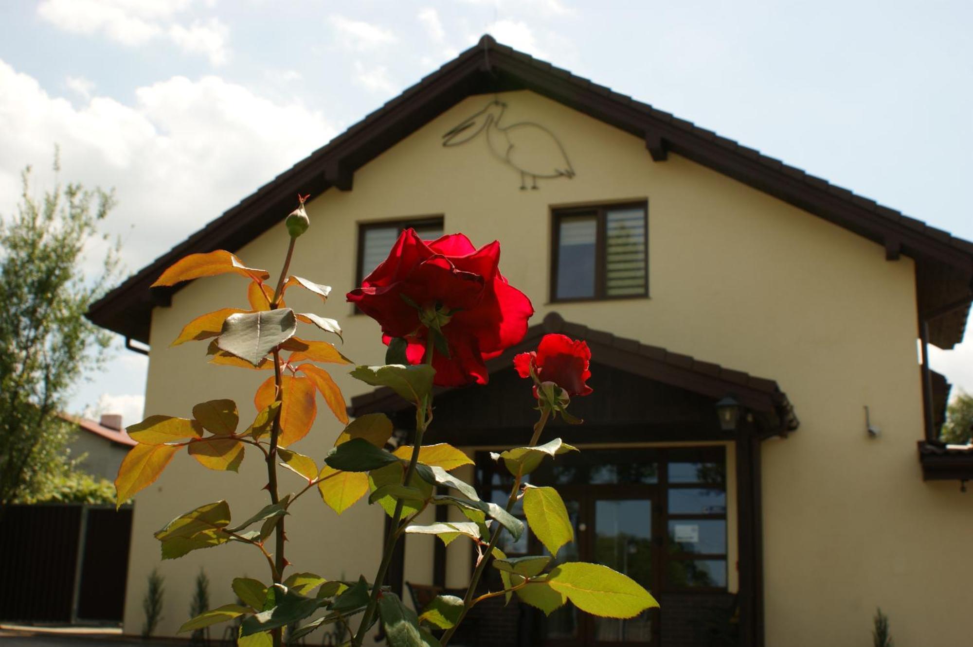 Pelikan Aleksandrów Łódzki Exterior foto